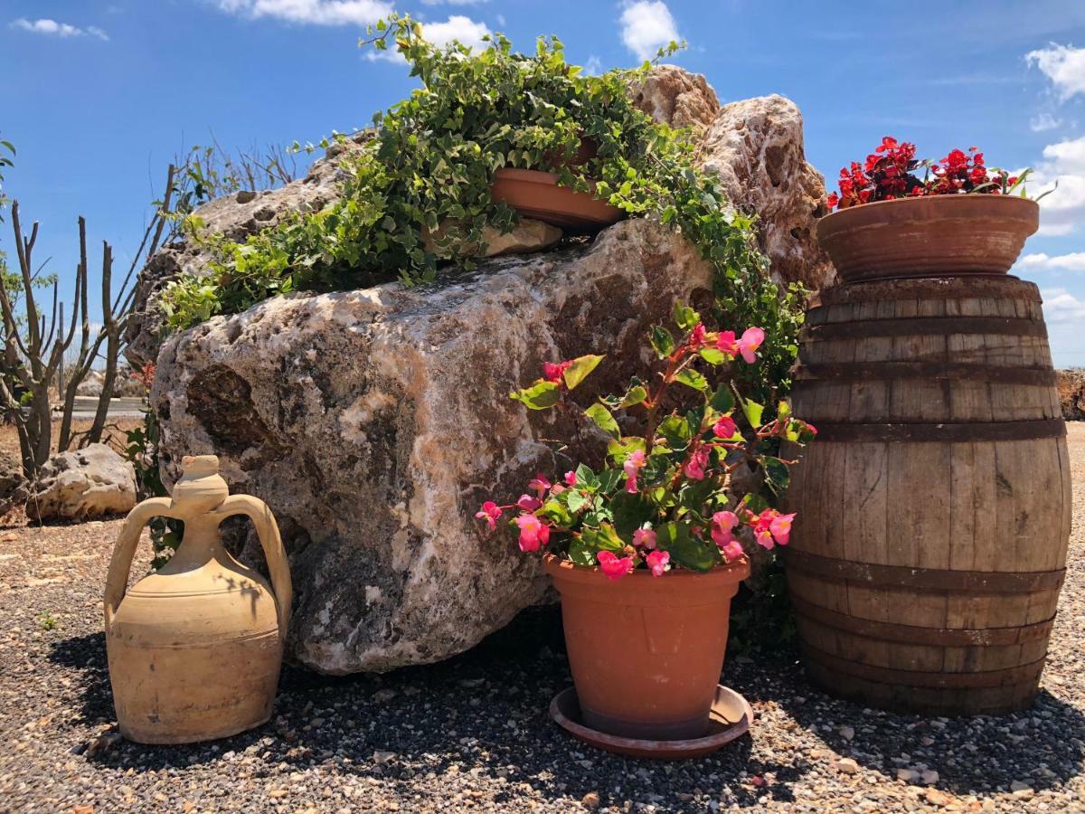 Masseria Paglieroni 马丁纳弗兰卡 外观 照片